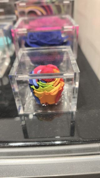 Flowercube Multicolor