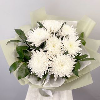 ერთიული ქრიზანთემა 3046