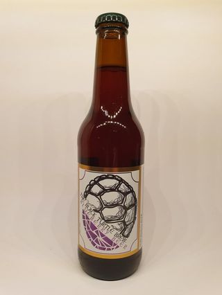 Bluberry  (voćno) pivo 330ml