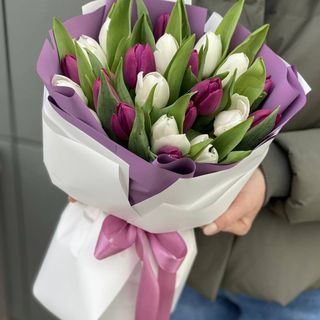 25 tulipanów fioletowych i białych