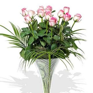 Ramo de 12 rosas color rosa.