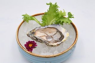 6-Ostriche - 1 pezzo