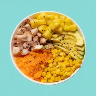 Squid bowl regular