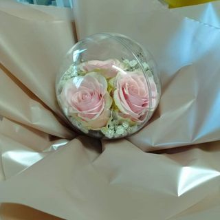 Plexy kugla sa 3 roze ruže