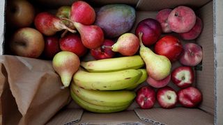 Pack fruta ecologica