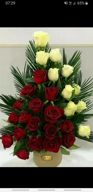 10 rose colorate