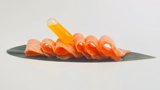 222 - Carpaccio salmone scottato