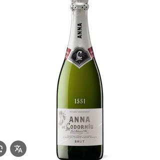 Anna de codorniu
