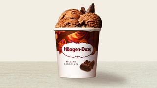 Tarrina  Belgian Chocolate 460ml