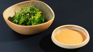 გომა ვაკამე