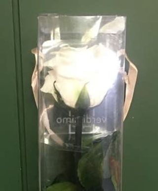 Rosa Preservada Blanca