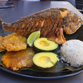 Dorada.