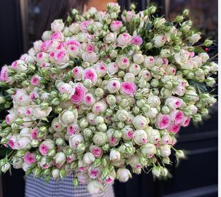 Кустовые розы патчи 1(06)