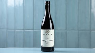 პინო ნუარი (მეღვინეობა იბერია)