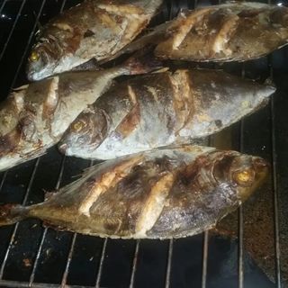 Whole Changu/Tafi Grilled, fries and Greens