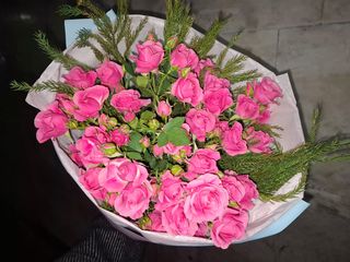 ვარდისფერი სპრეი