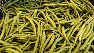 Fagiolini 1 kg