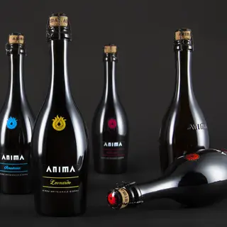 Birra Artigianale ANIMA 50 cl "Newton"
