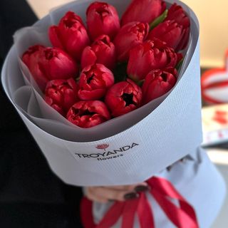 15 червоних тюльпанів в упакуванні