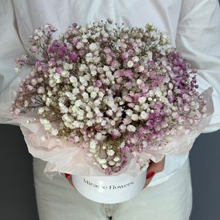 Композиція "Гіпсофіл (5)"