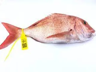 Pargo Salvaje De 800-1Kg