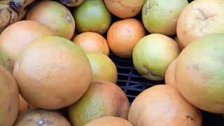 Naranja Zumo ecológica