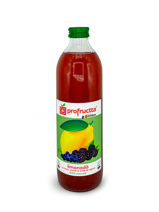 Limonada 100% naturala cu aronia 0,5l
