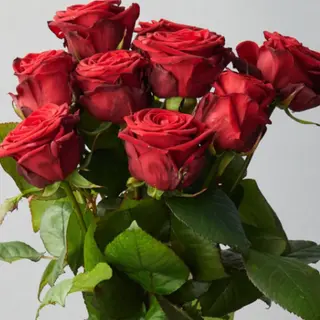 Bouquet 7rose rosse 