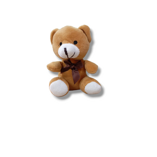 Osito peluche 1