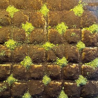Cold Baklava(price per piece)