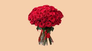 70 წითელი ჰოლანდიური ვარდი