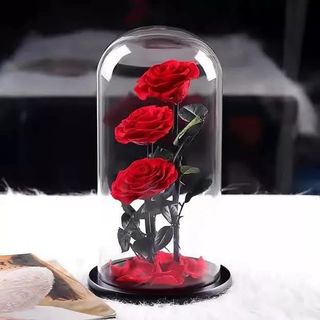 უკვდავი ვარდი