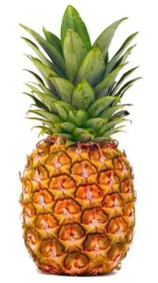 Ananas à la Pièce