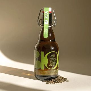 Kombucha de té verde Bioma