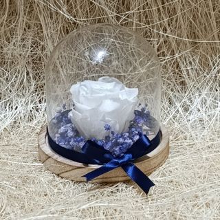 Cúpula com rosa preservada branca