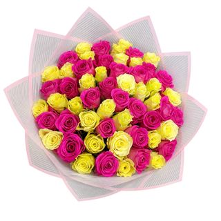 Two Colour Mix