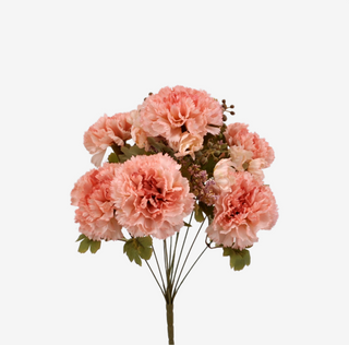 Bouquet garofani  20 rami