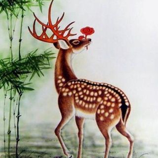 Menú Especial para 4 personas