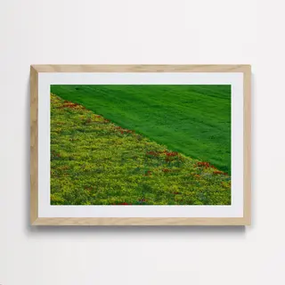 სიმეტრია