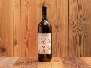 Monte dall'Ora-S. Pietro in Cariano (VR)