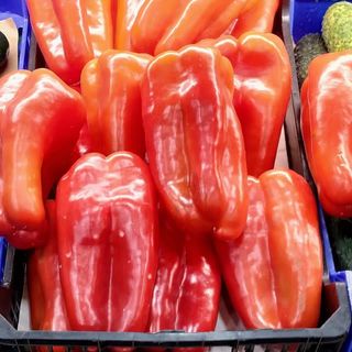 Pimiento Rojo Extra Unidad