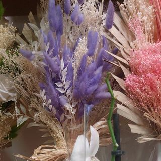 Fiori secchi del bello colorato viola