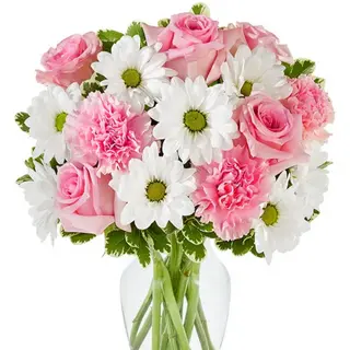 Bukiet pink daisys