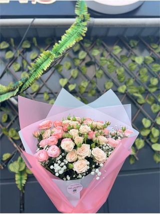 ჰოლანდიური ლურჯი ვარდები, სიმაღლე 80-1 მეტრი