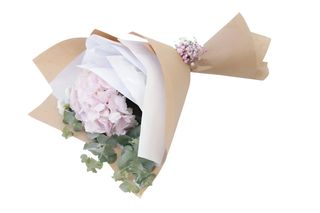 Pink Hydrangea bunch