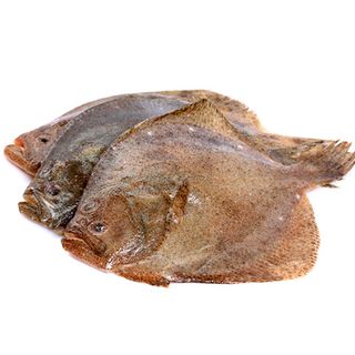 Rodaballo Mar (Aprox. 1,5 kg.)