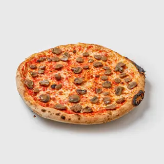 Funghi