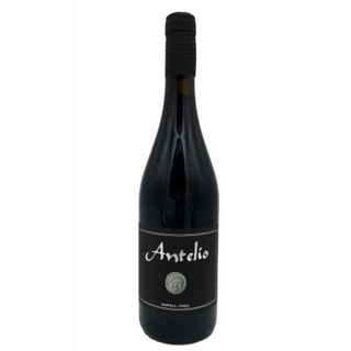 Camerlengo - Antelio Rosso