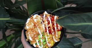 Takoyaki bowl