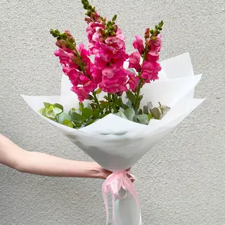 ხუთი ანტირინუმი 2091